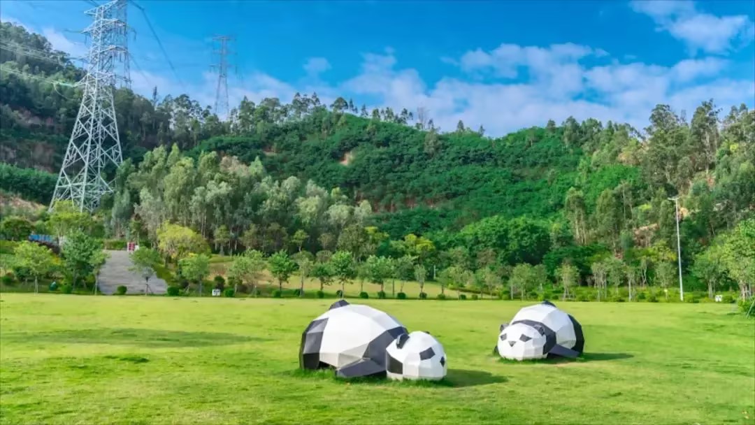 春日之約，享受自然之美